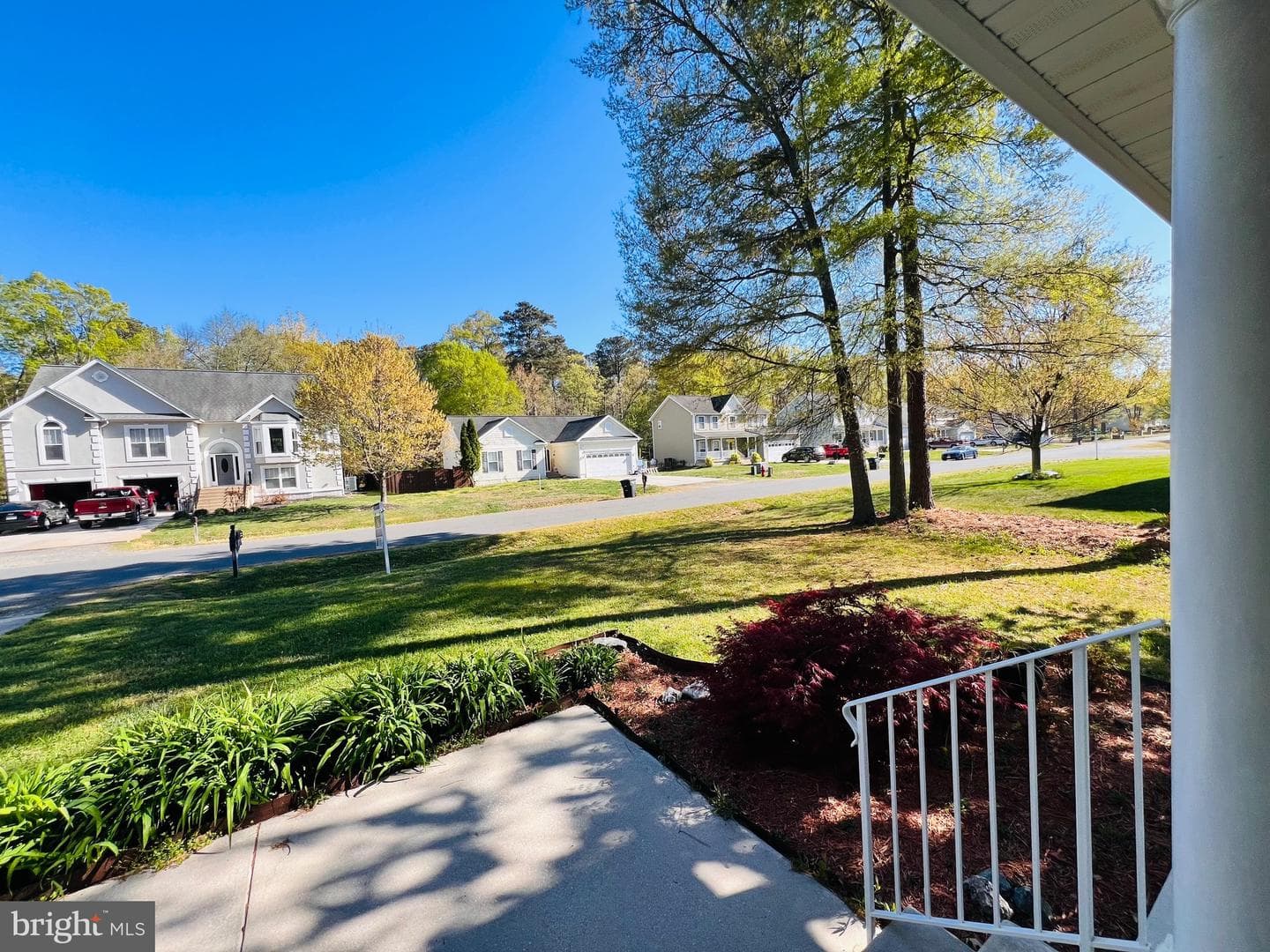213 Forest Avenue photo 11