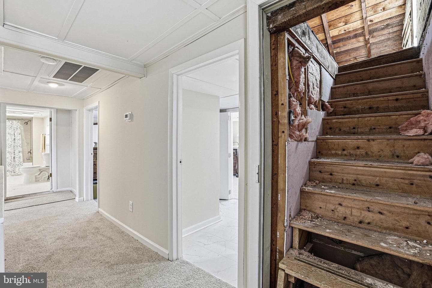 31 Bancroft Avenue photo 33