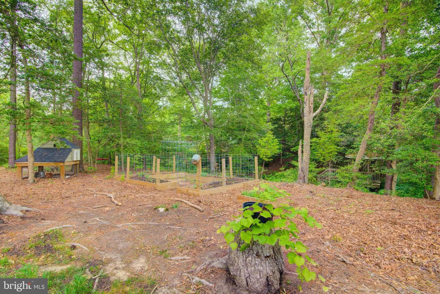 47 Magnolia Blvd (Former Cedar Lane) photo 10