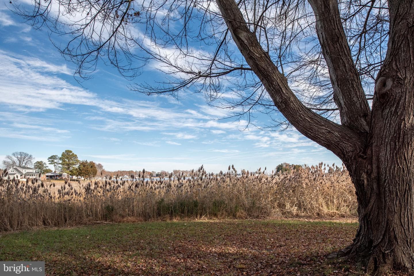 1058 Shore Drive photo 40