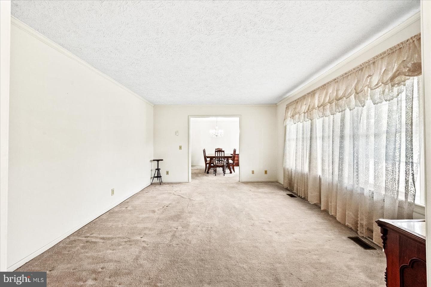 107 Bonnie Del Drive photo 18