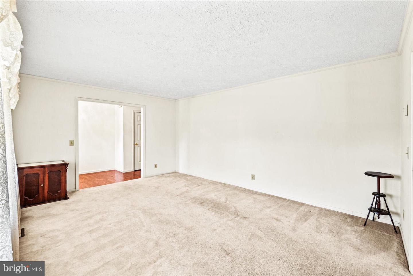 107 Bonnie Del Drive photo 20