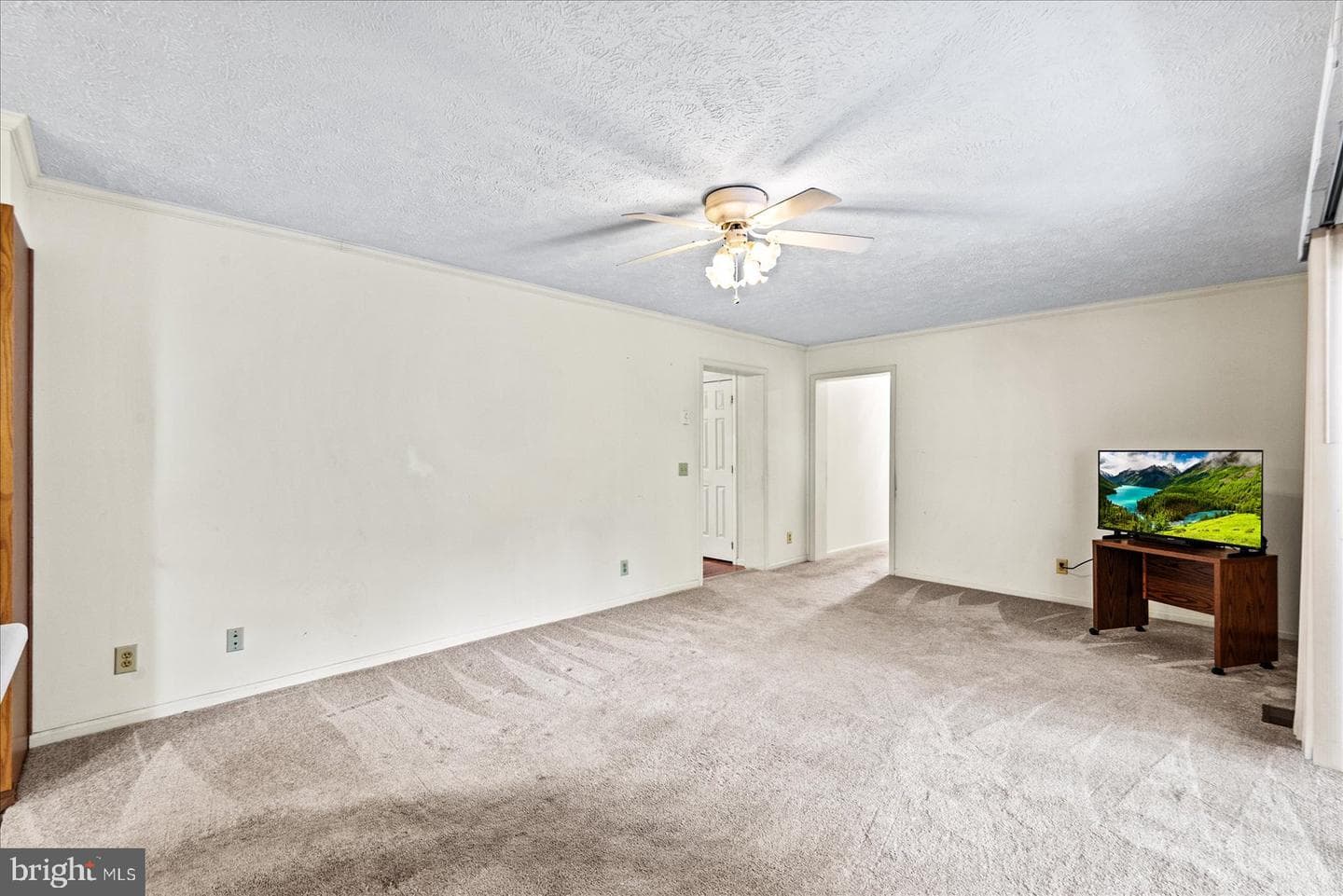 107 Bonnie Del Drive photo 9