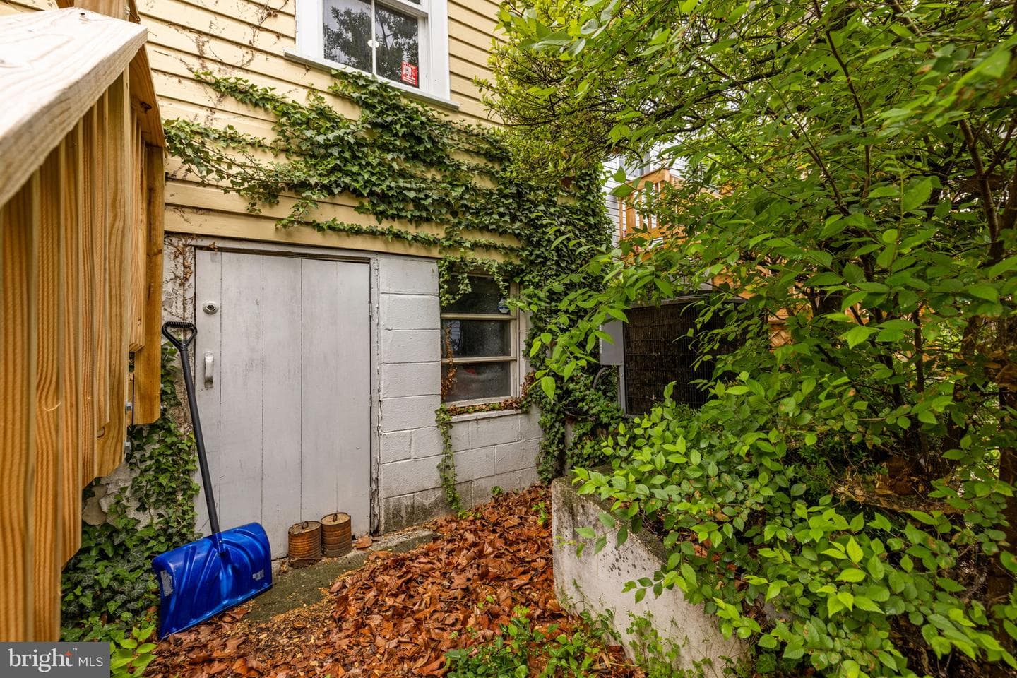 706 S Cameron Street photo 61