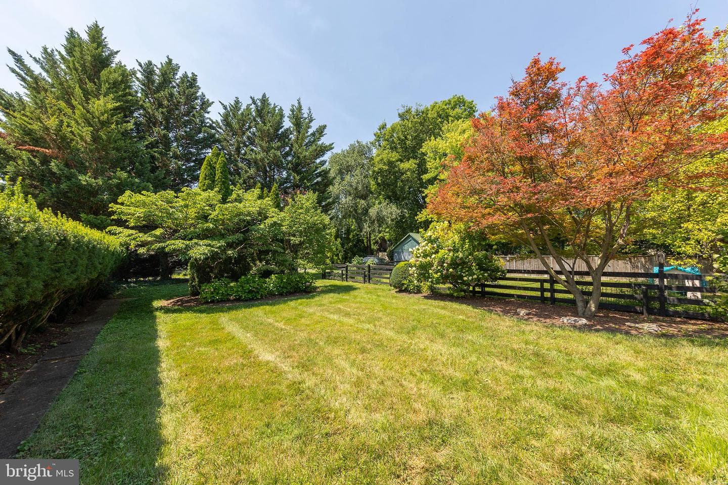 305 Amherst Street photo 15