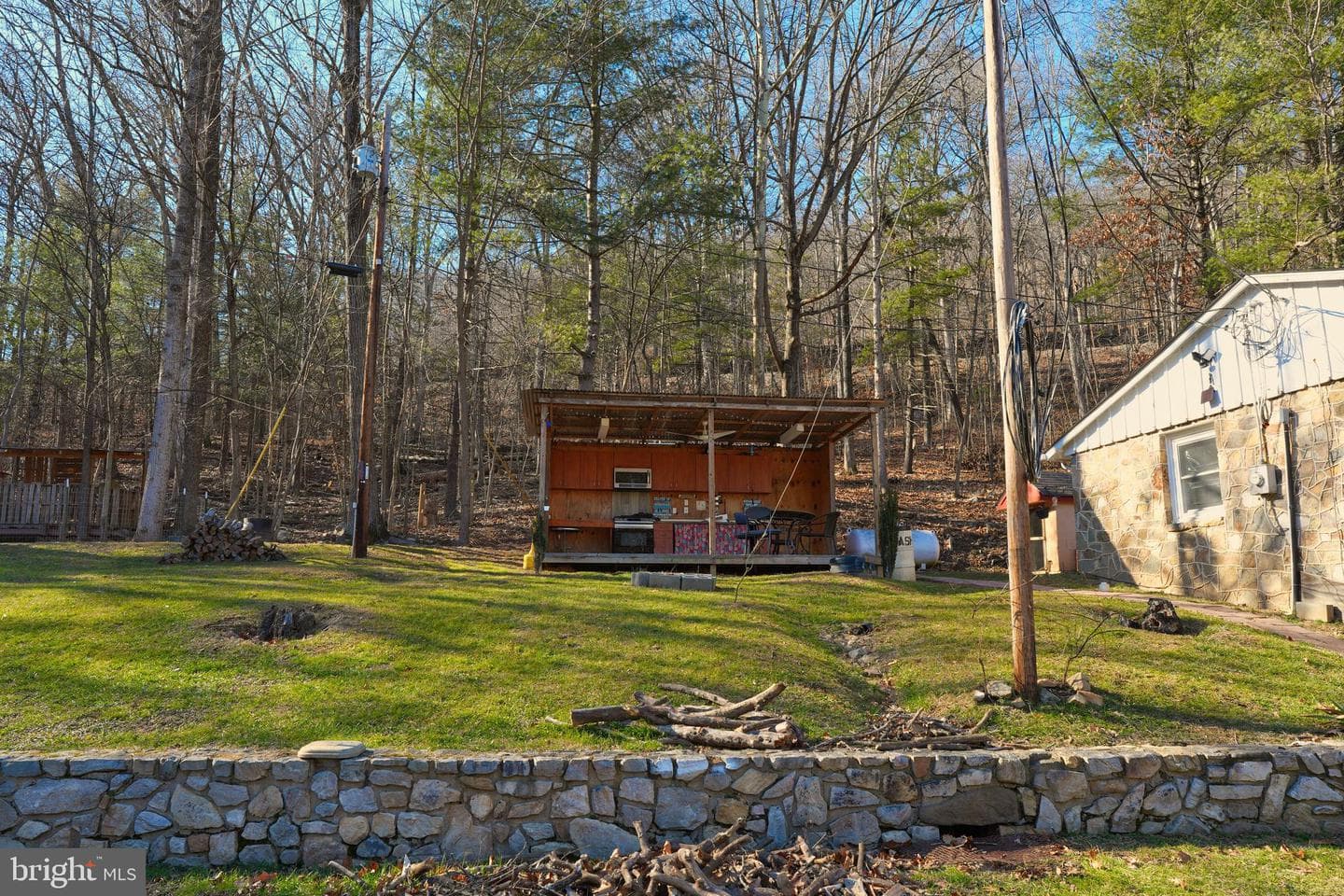 948 Dismal Hollow Road photo 10