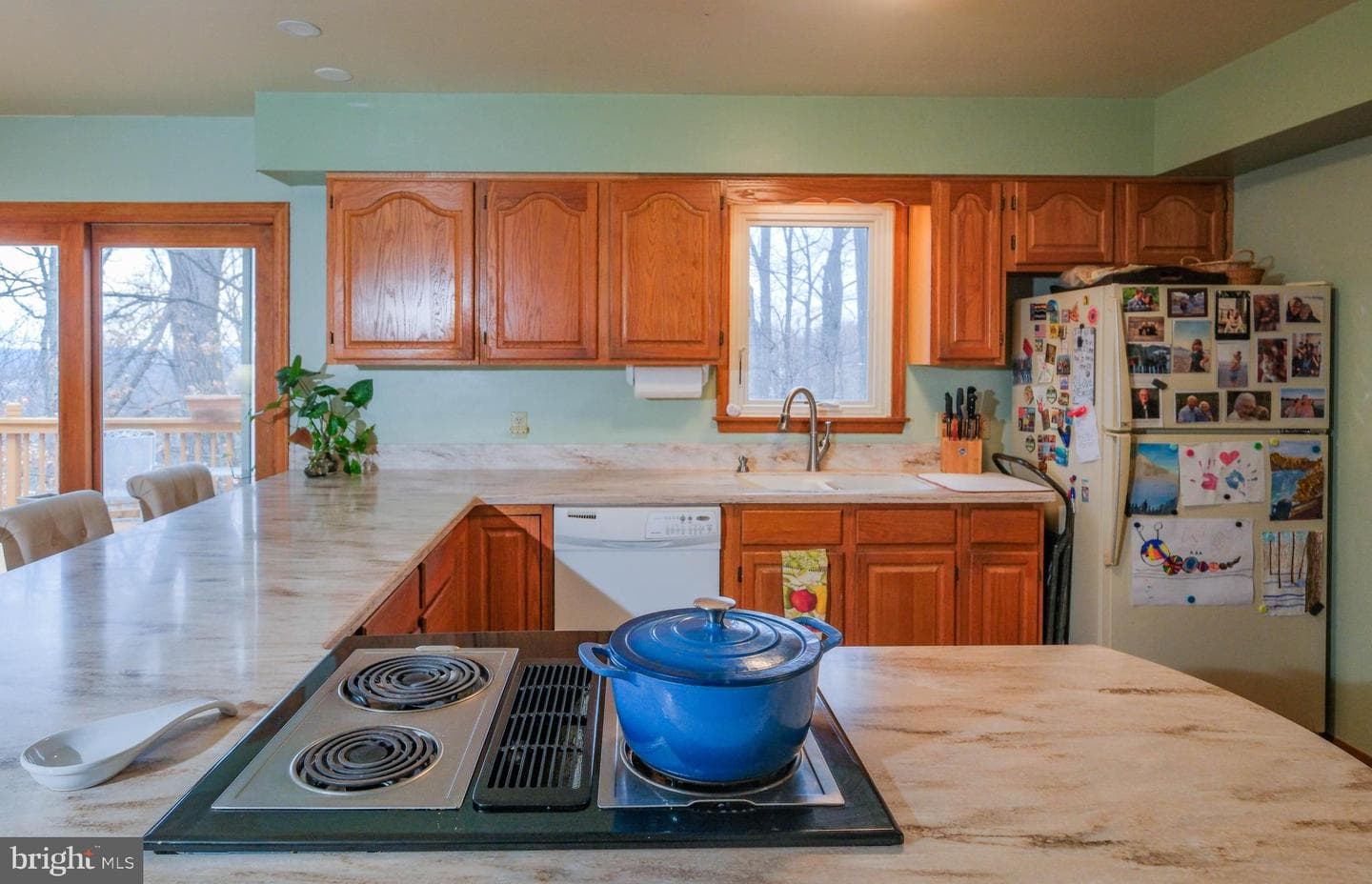 143 Cardinal Wind Drive photo 18