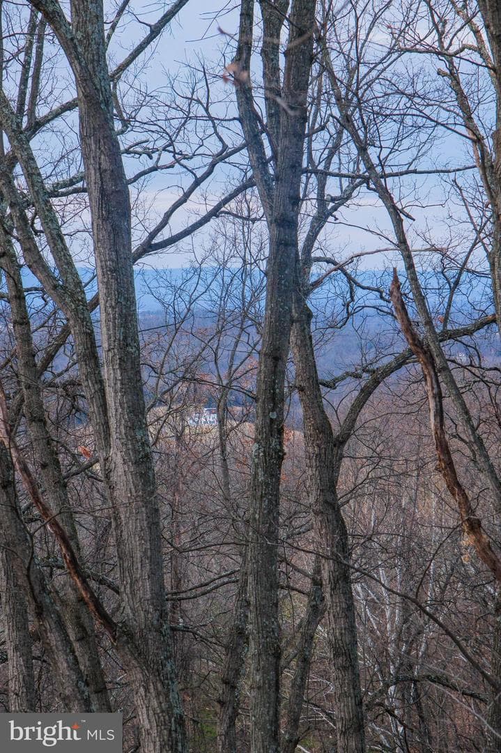 143 Cardinal Wind Drive photo 66