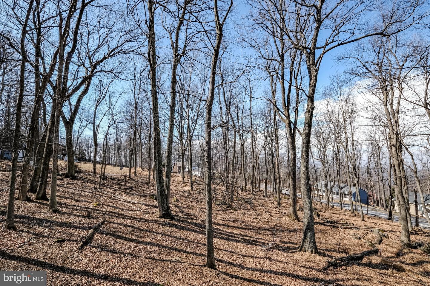 59 Alpine Drive photo 53