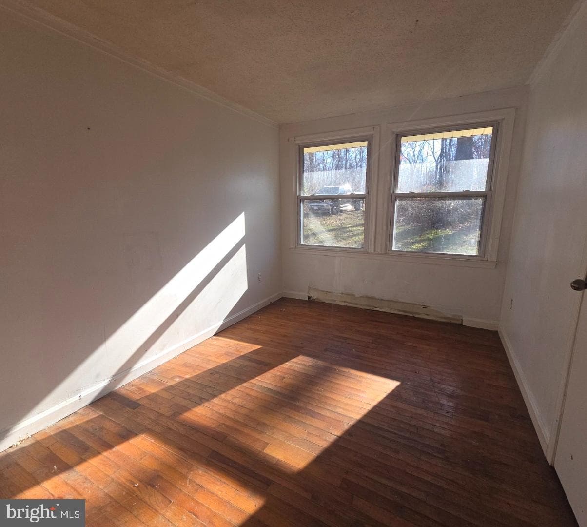 3717 Freezeland Road photo 18