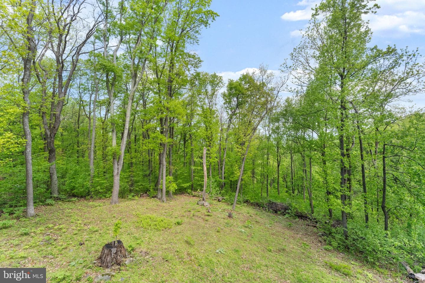 293 Old Sawmill Road photo 47
