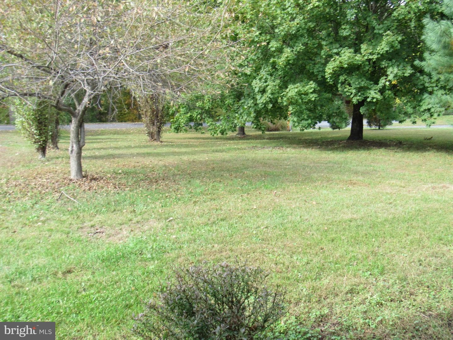 172 Rogers Mill Road photo 7