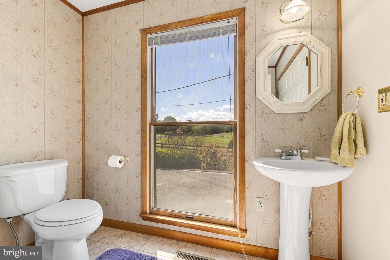 485 Esteppe Road photo 18