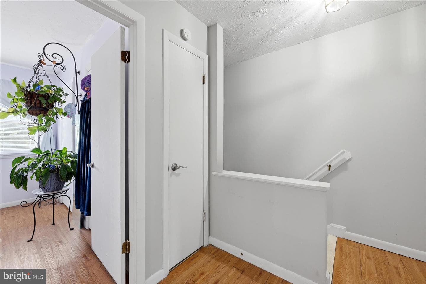 132 Scott Street photo 16