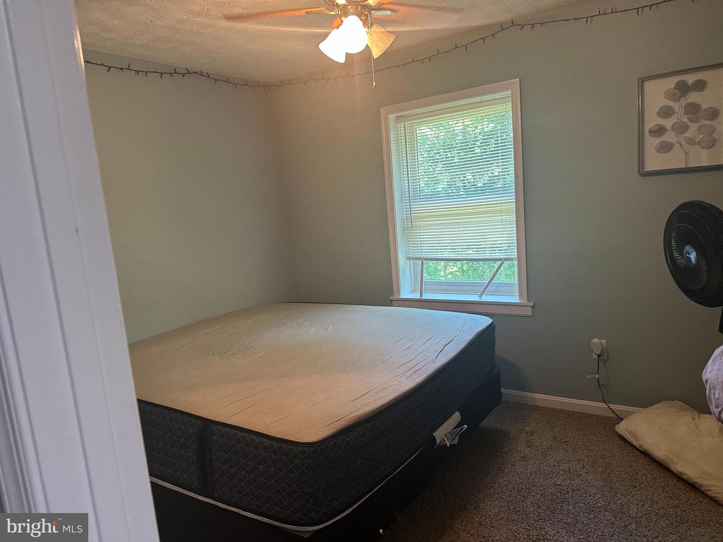 440 Bluebird Way photo 18