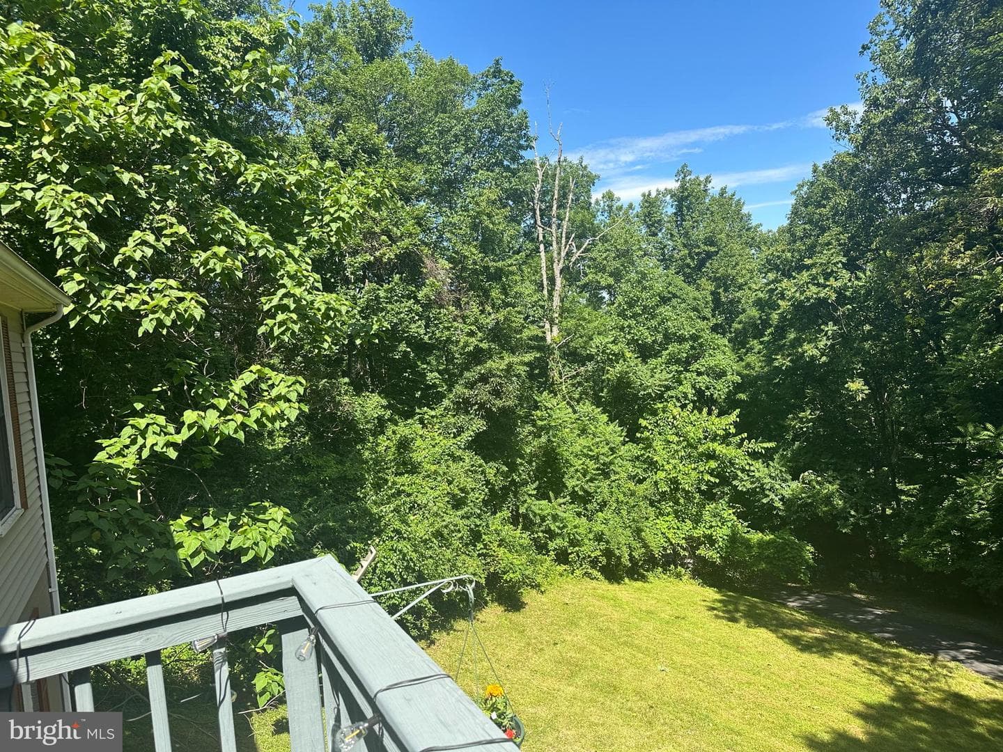 440 Bluebird Way photo 23