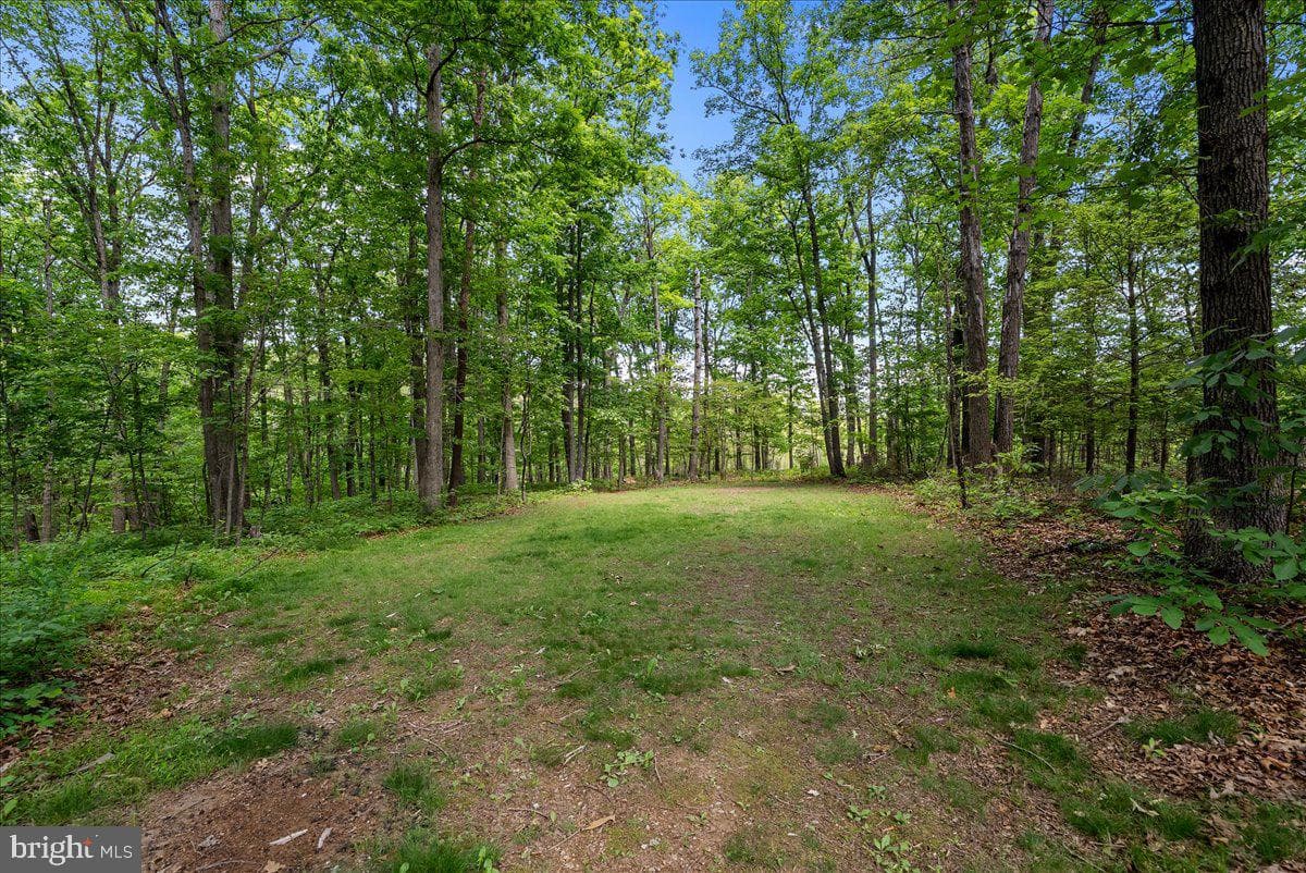 298 Mcdaniel Lane photo 46