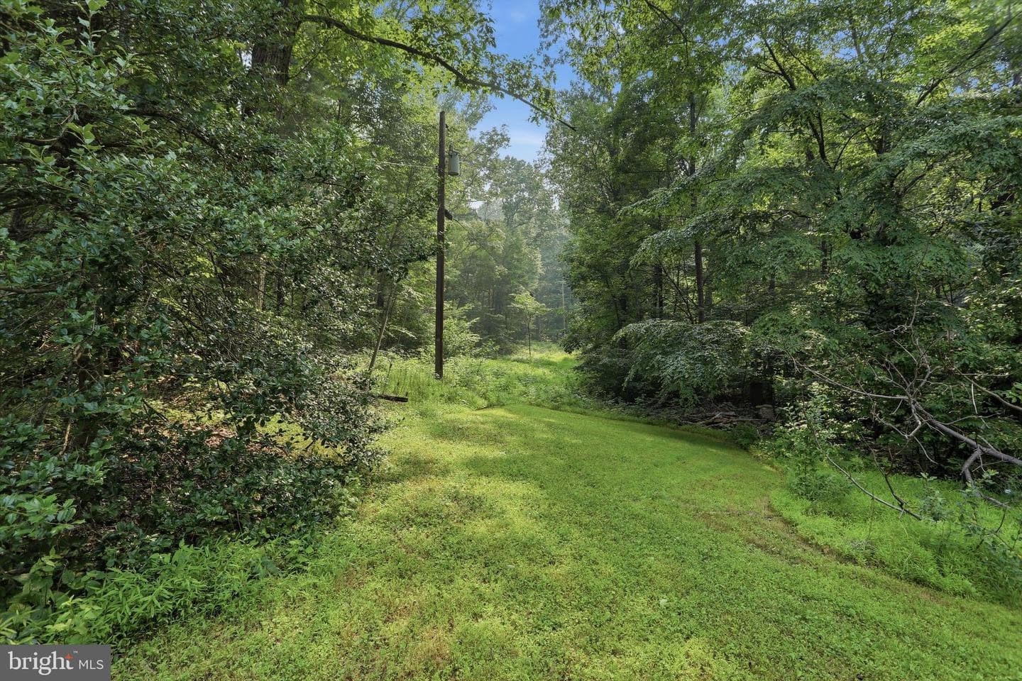 2840 Gooney Manor Loop photo 38