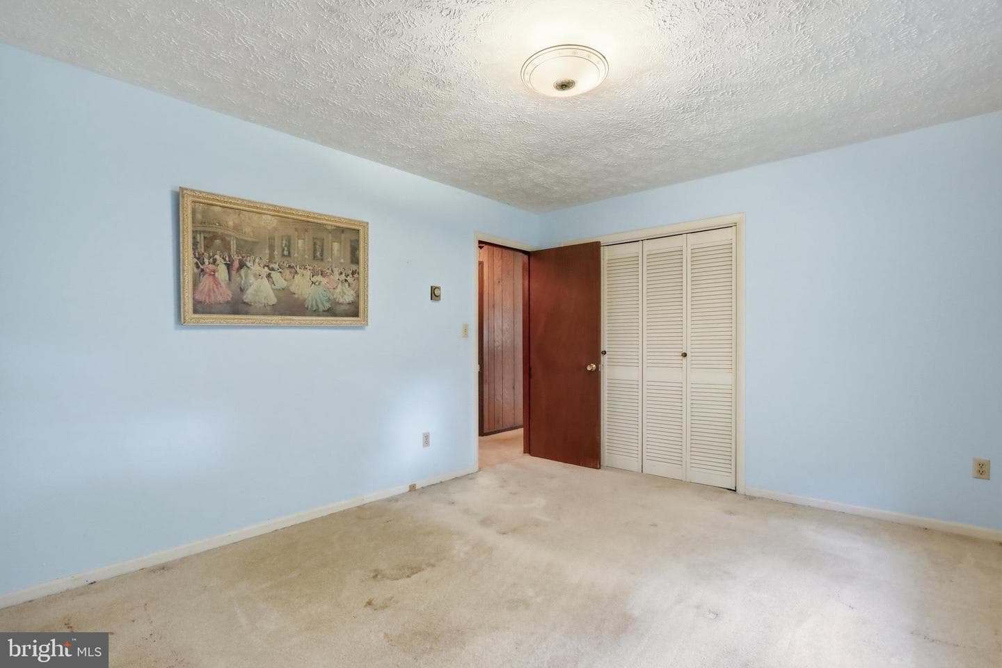 2840 Gooney Manor Loop photo 8