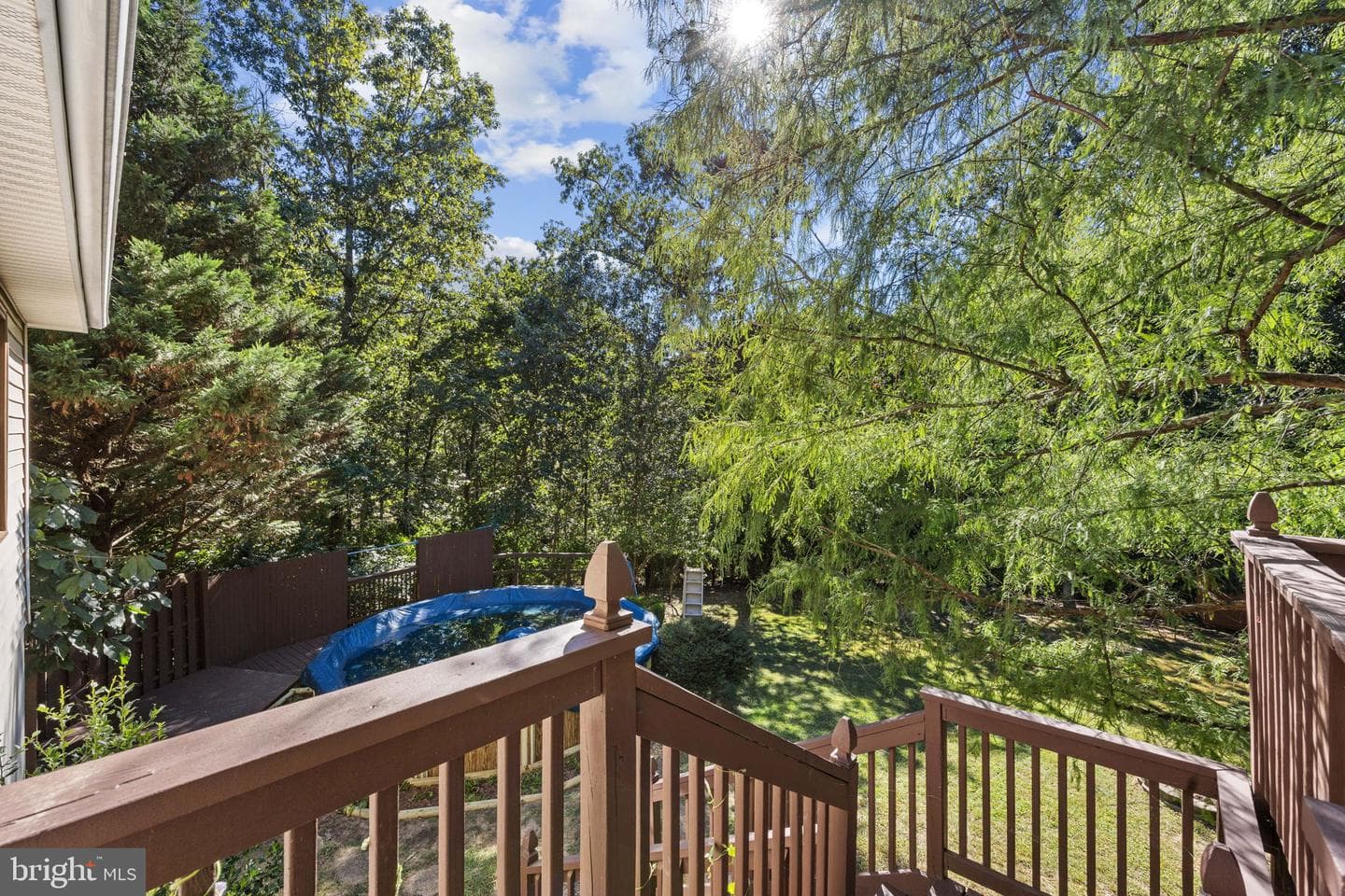 145 Basswood Drive photo 28