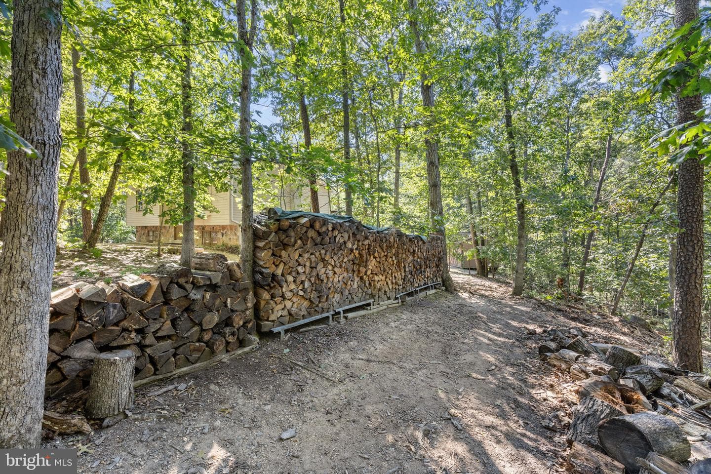 145 Basswood Drive photo 65