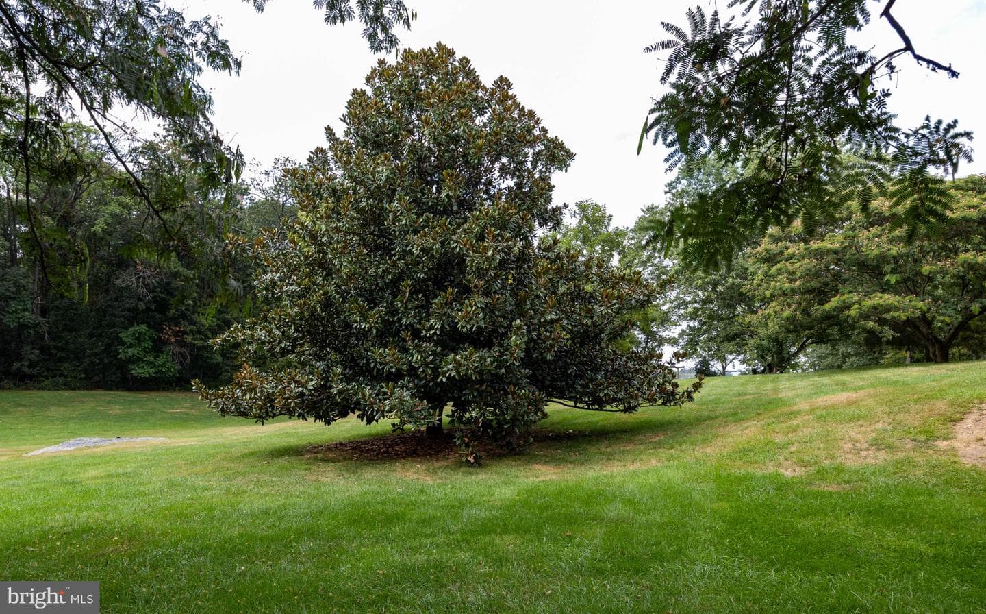 525 Appian Way photo 26