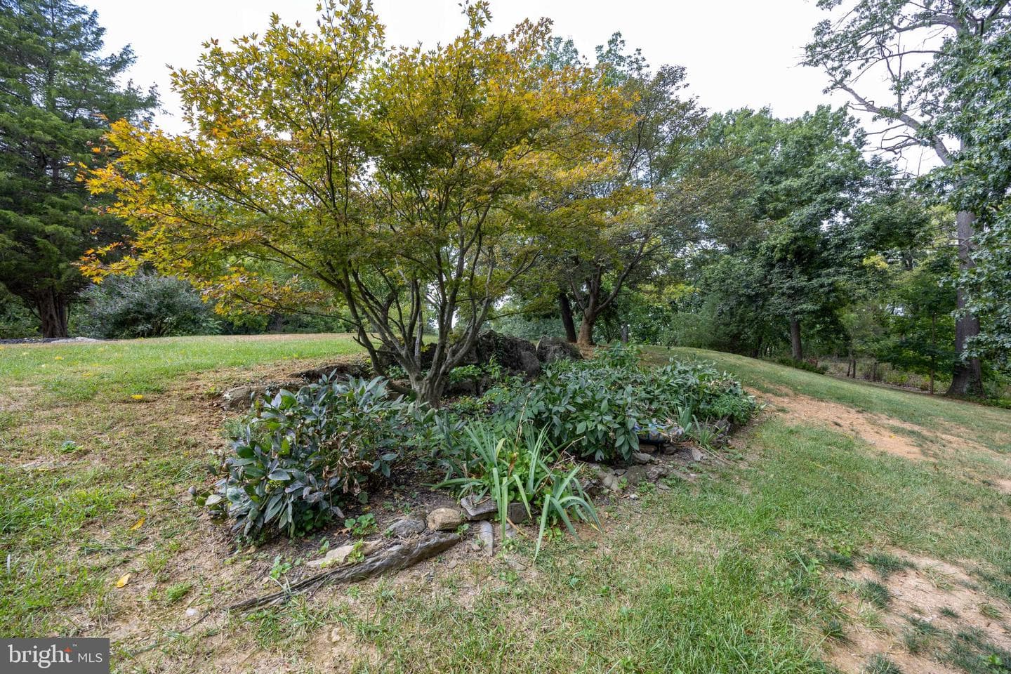 525 Appian Way photo 31
