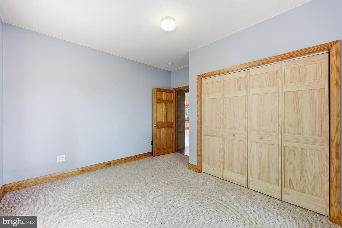 446 Broomgrass Way photo 34