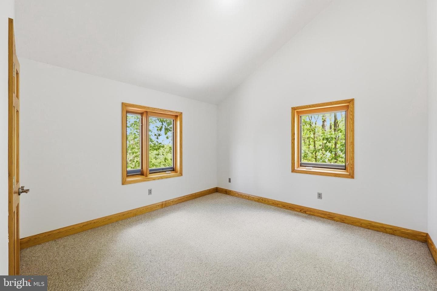 446 Broomgrass Way photo 37