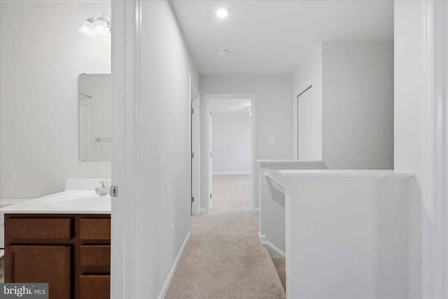 248 Tickseed Court photo 21