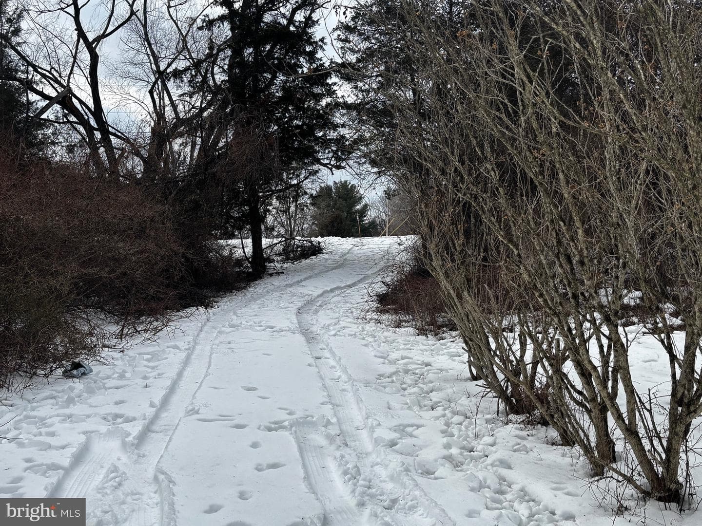 224 Ditto Farm photo 26