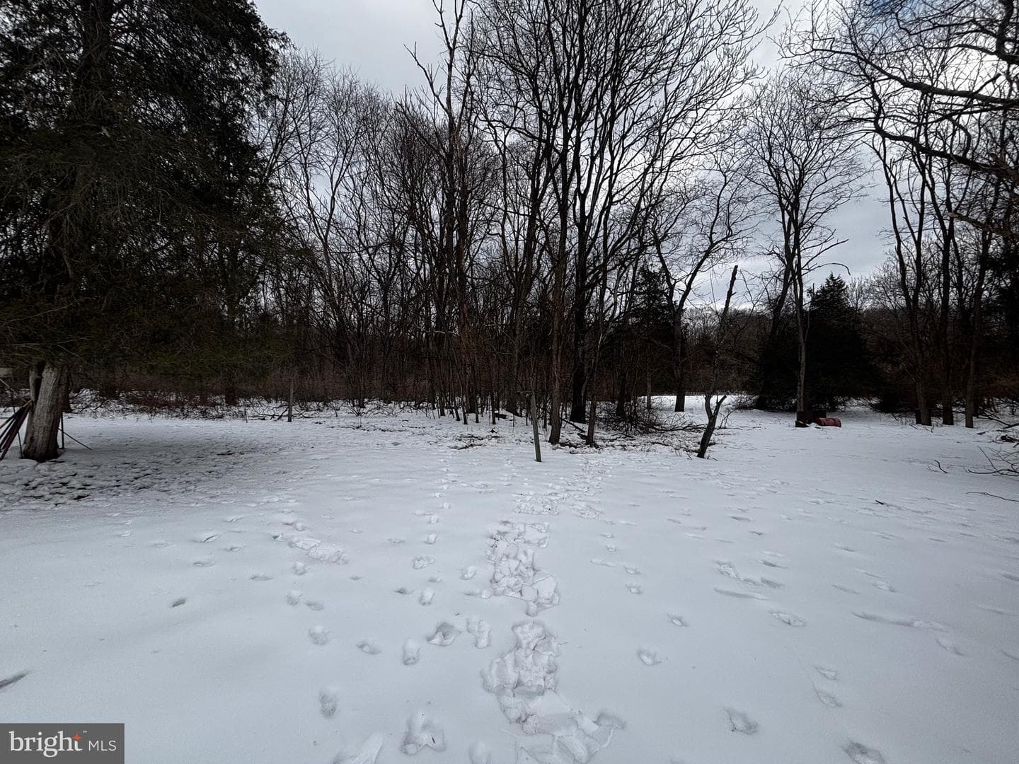 224 Ditto Farm photo 27