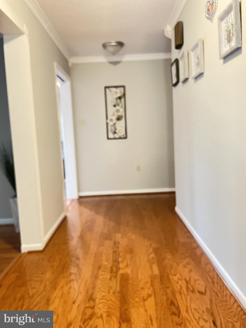 40 Marston Drive photo 5