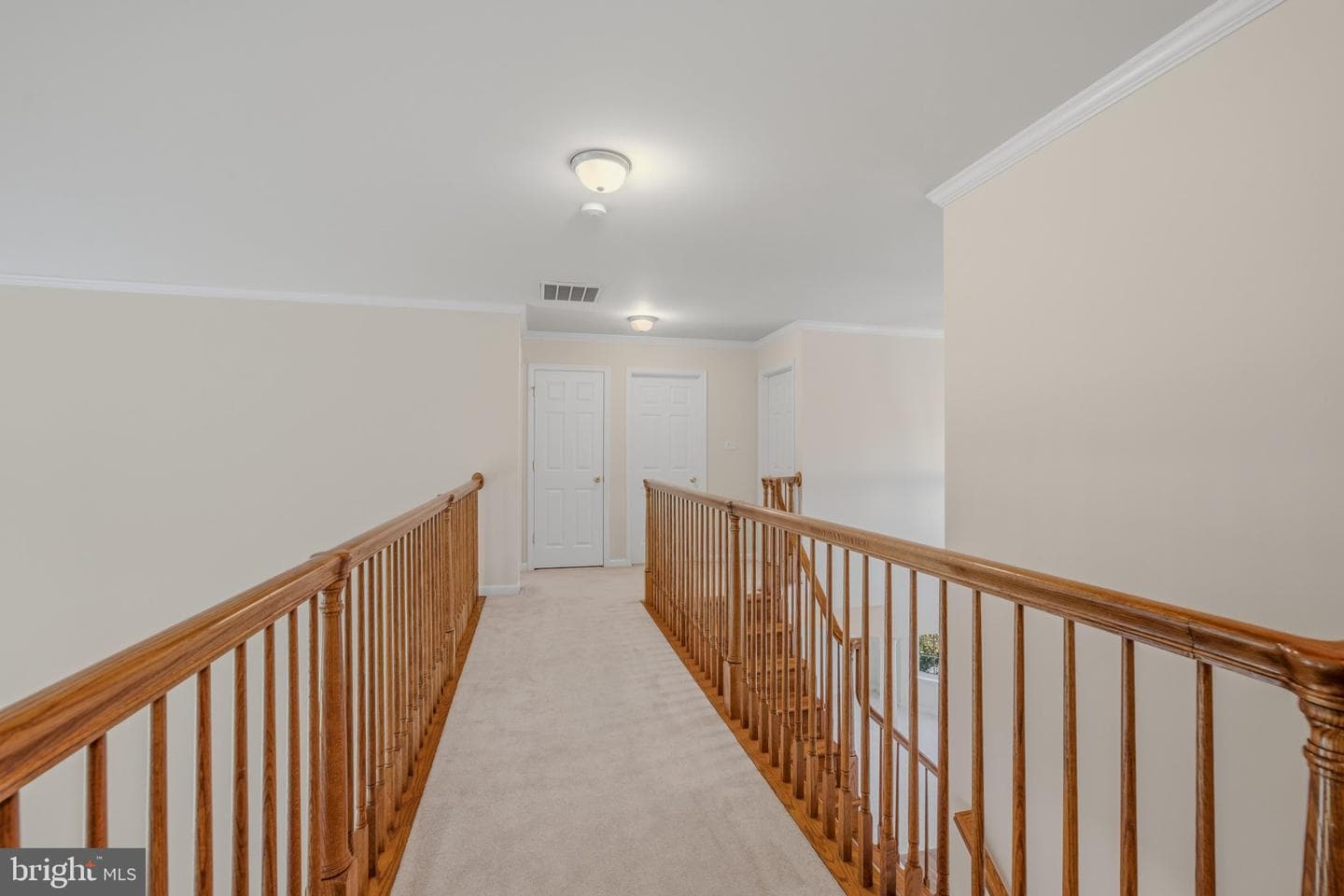10 Cardiff Court photo 33
