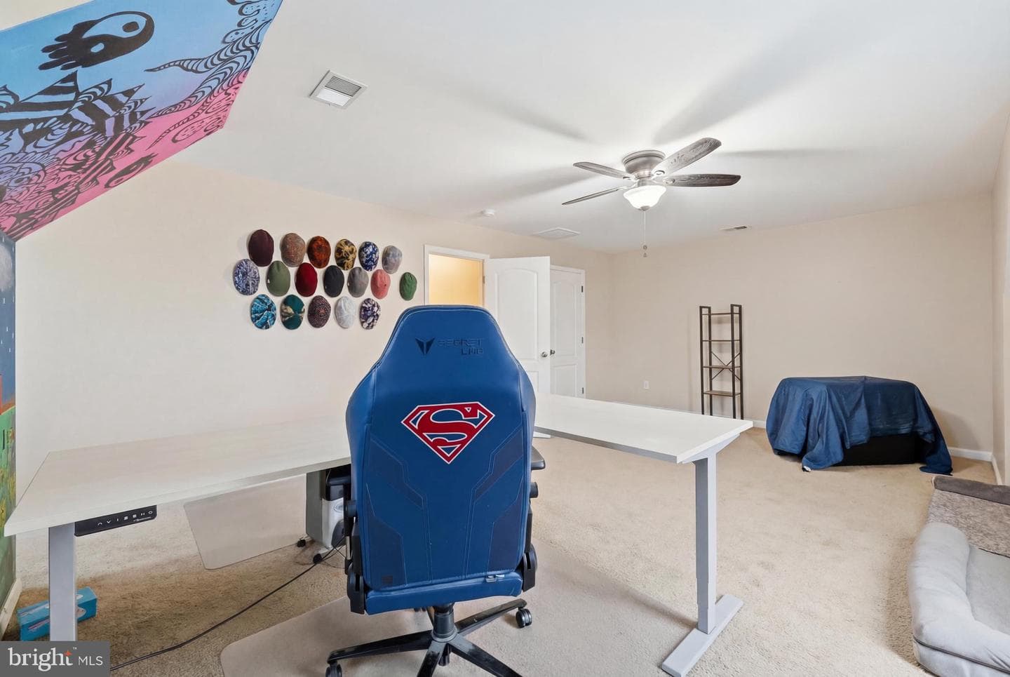 15 Branson Court photo 51