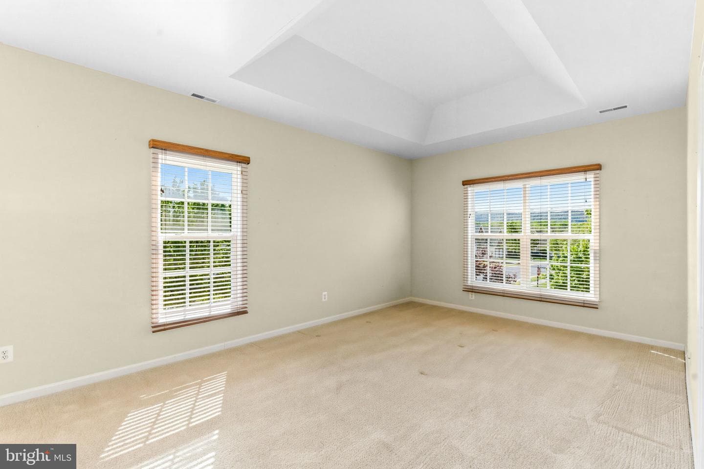 313 Lewisburg Lane photo 4
