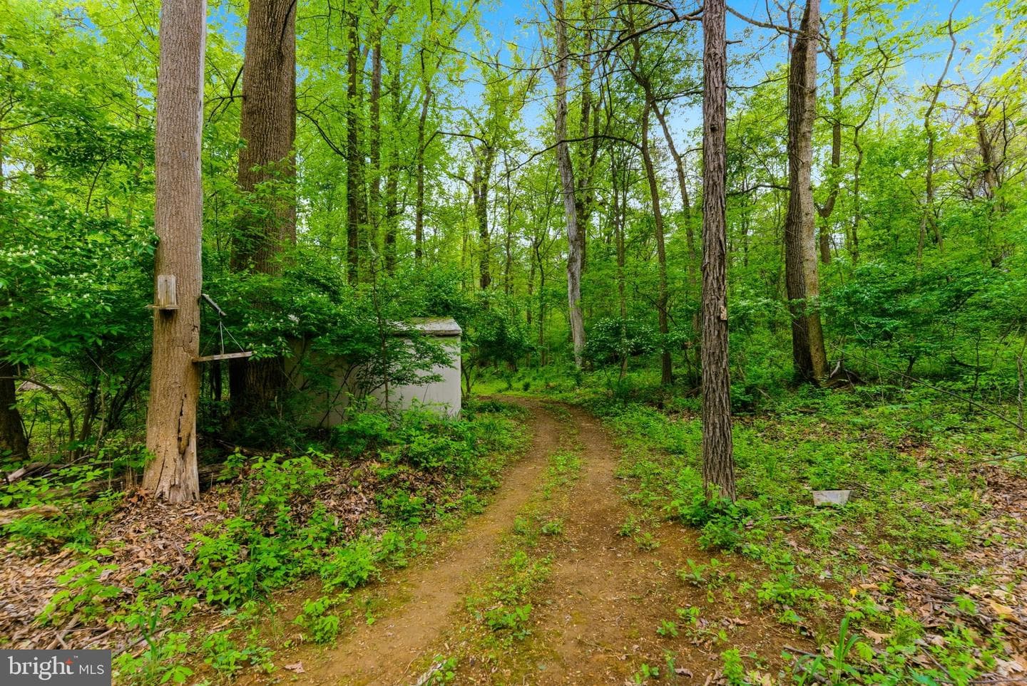 387 Weaver Lane photo 12