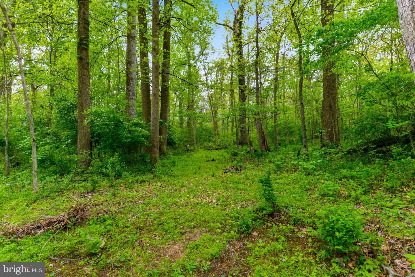 387 Weaver Lane photo 71