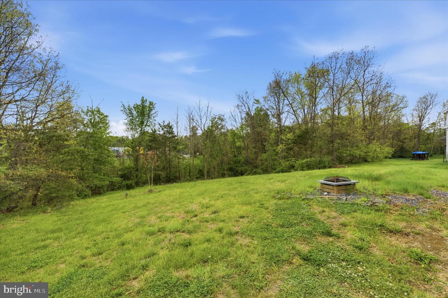 46 Willowby Court photo 60