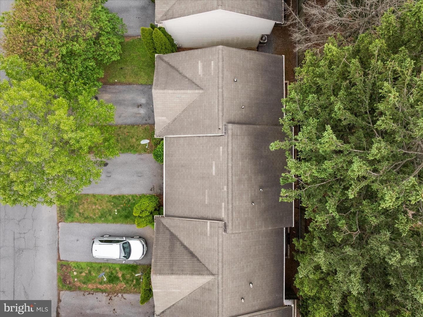 33 Dorothy Court photo 28