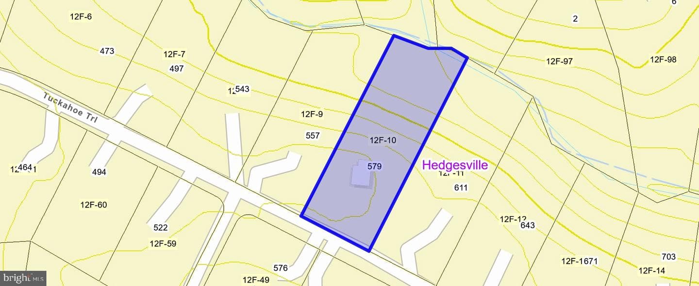 579 Tuckahoe Trl Trail photo 48