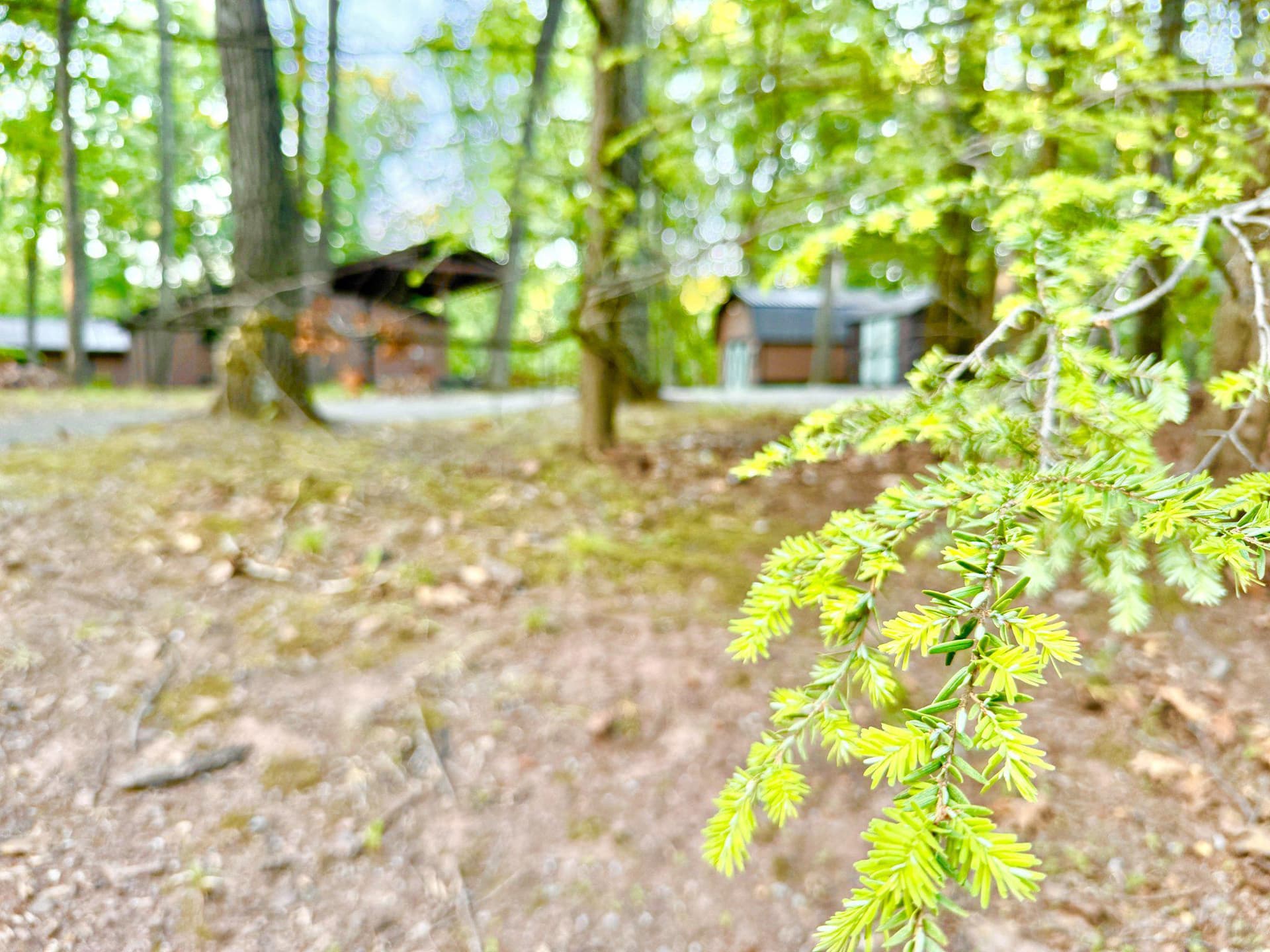 579 Tuckahoe Trl Trail photo 51
