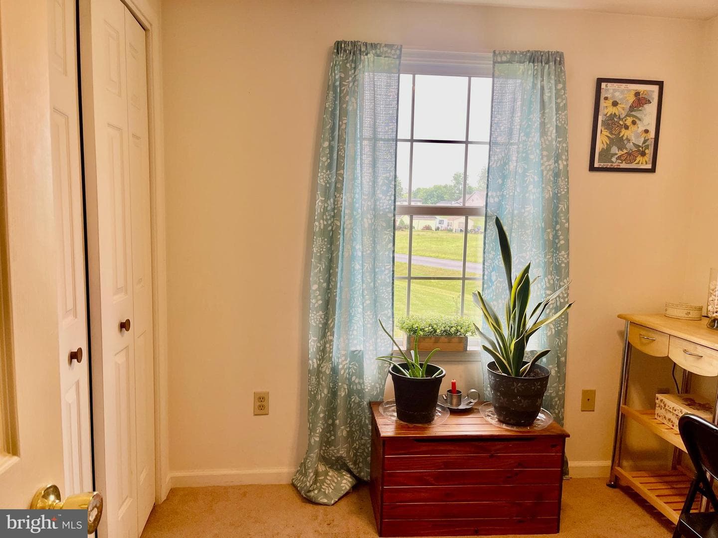 27 Canterbury Drive photo 36