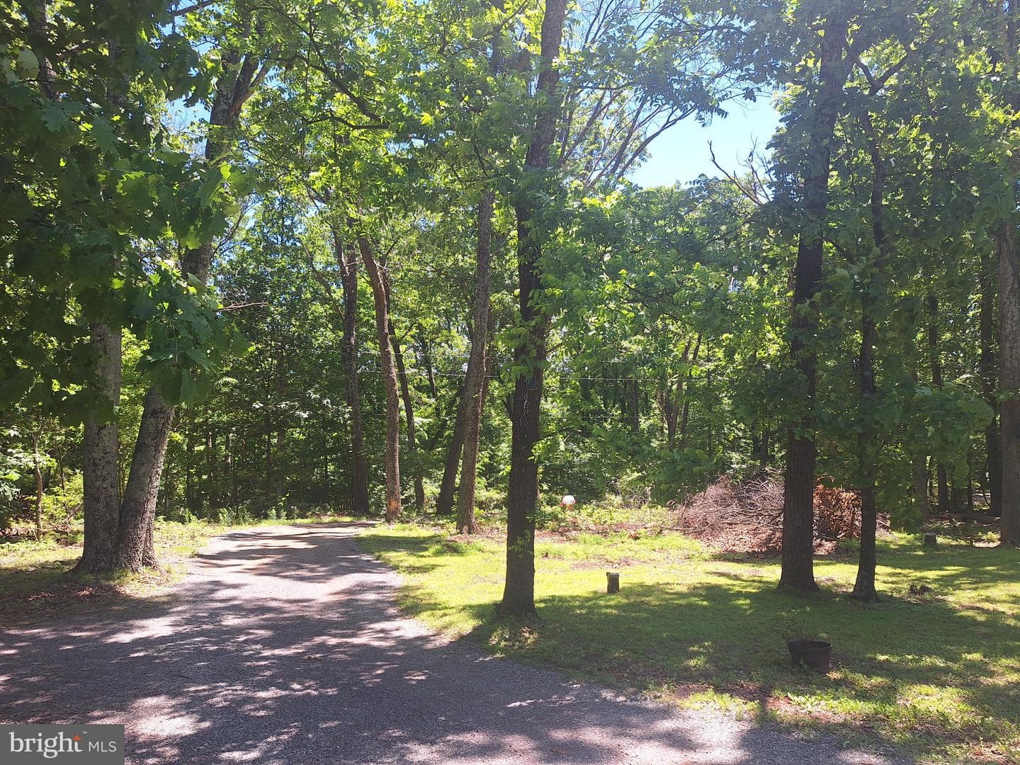 71 Trapper Ridge Lane photo 10