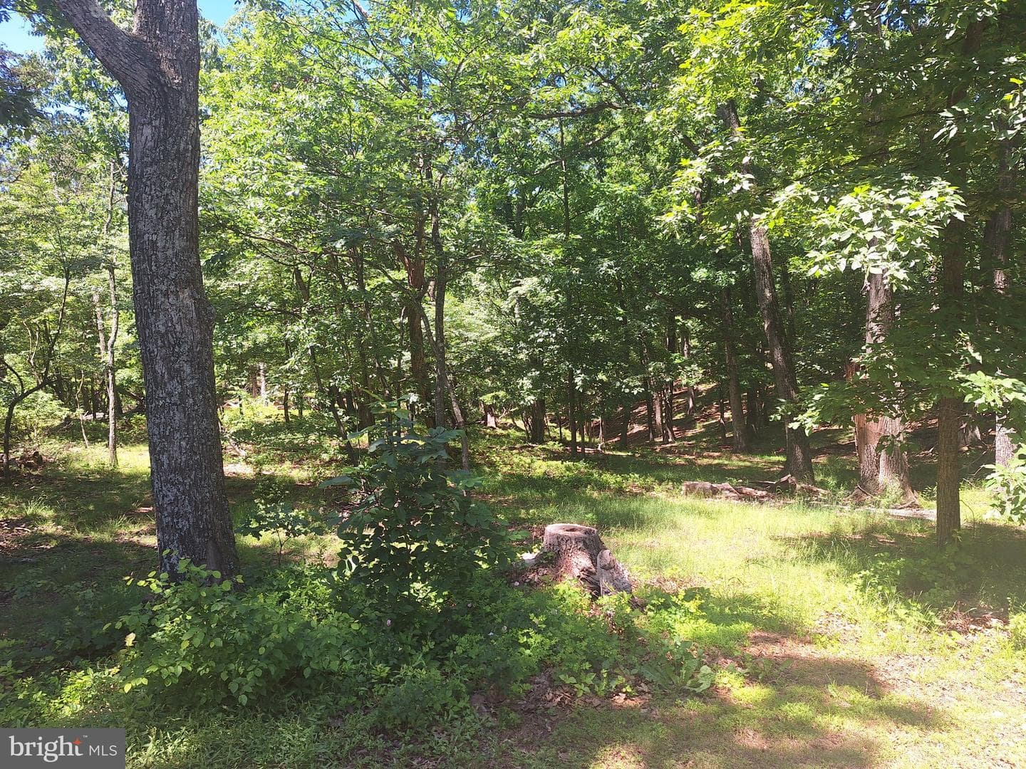 71 Trapper Ridge Lane photo 16