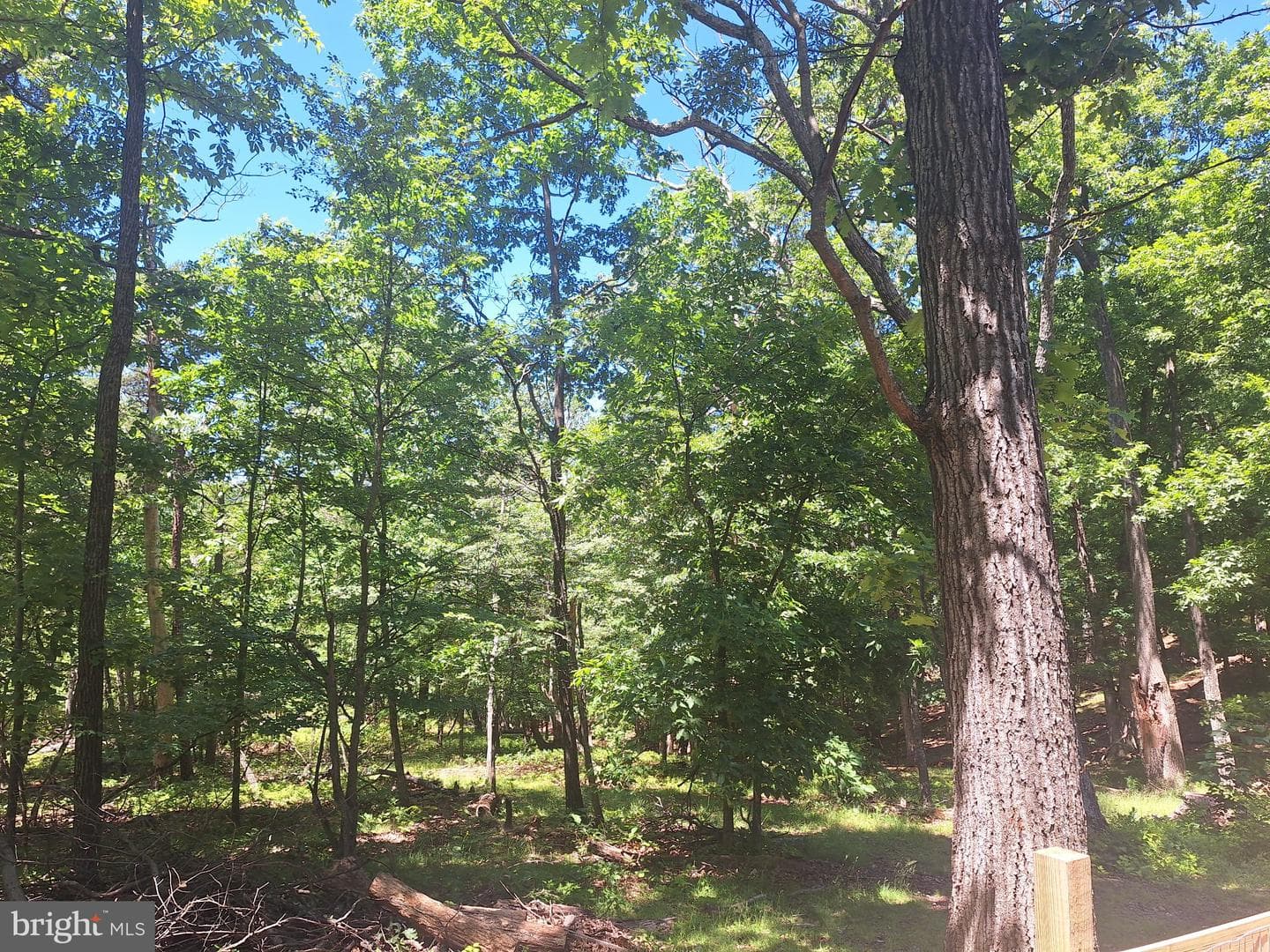 71 Trapper Ridge Lane photo 18