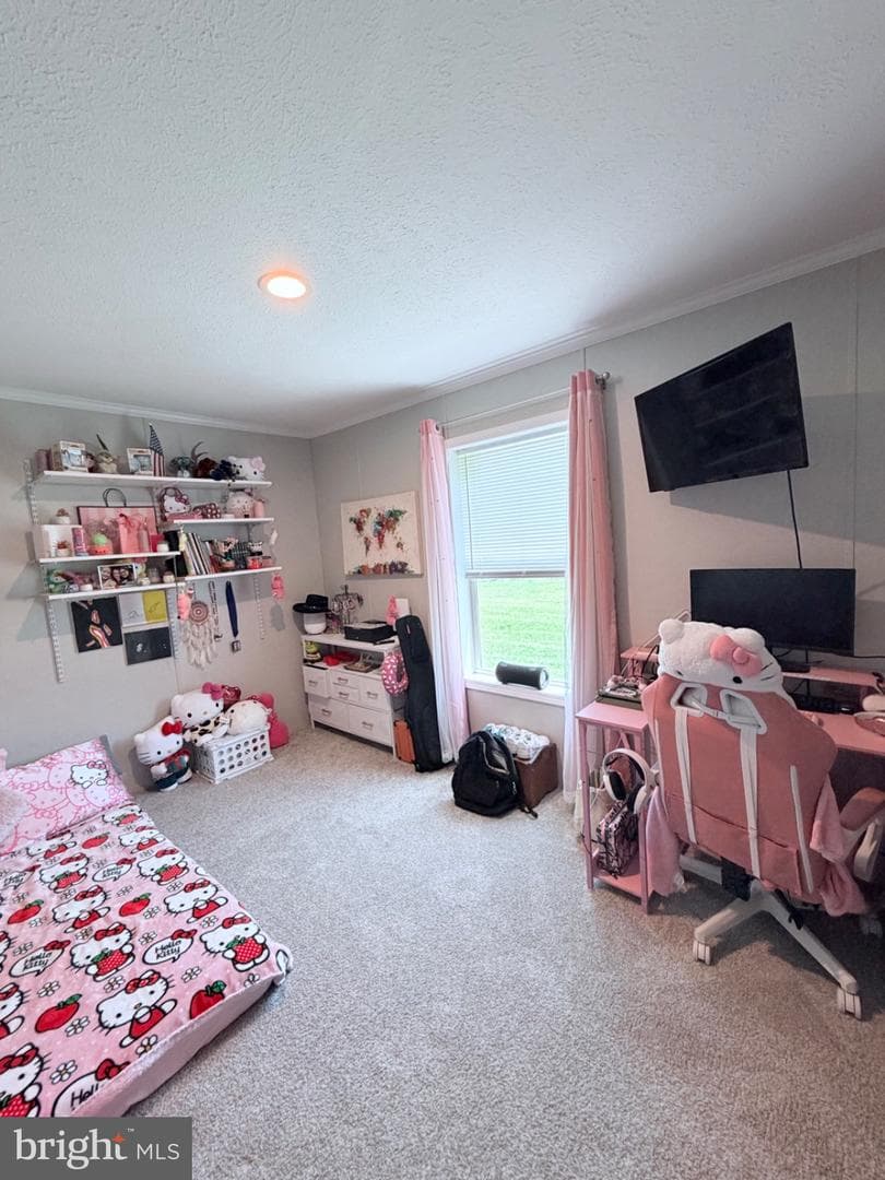 318 Gantt Drive photo 36