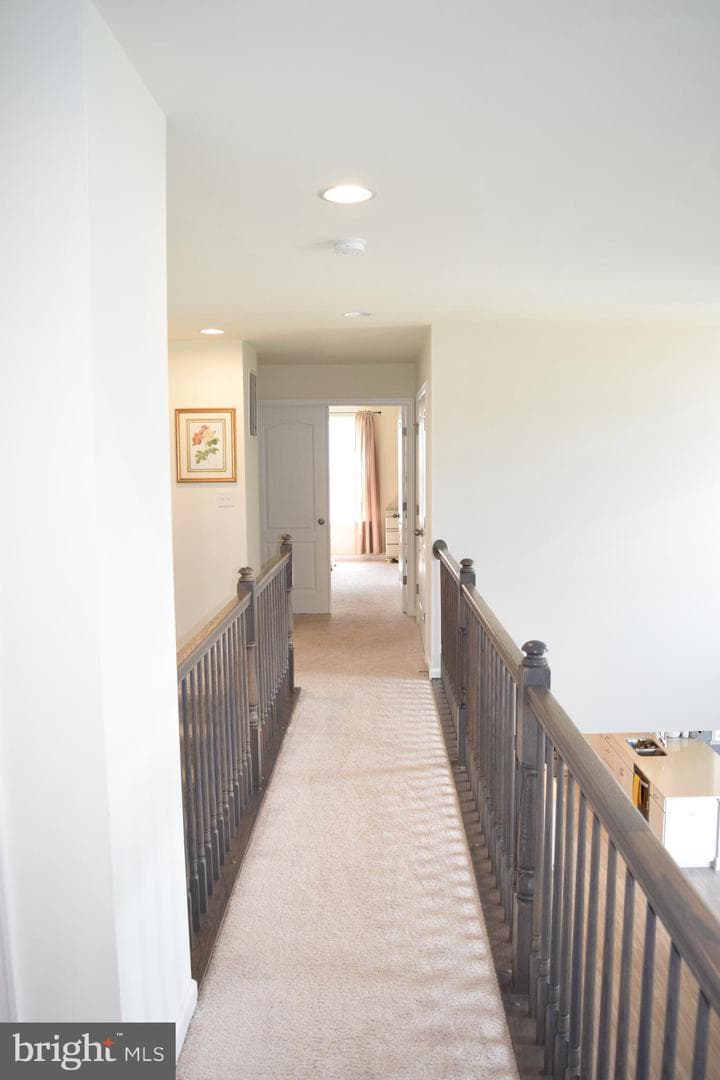 205 Voltaire Street photo 18