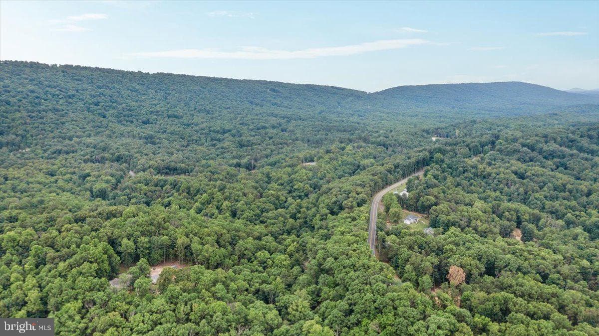 405 Teardrop Trail photo 21