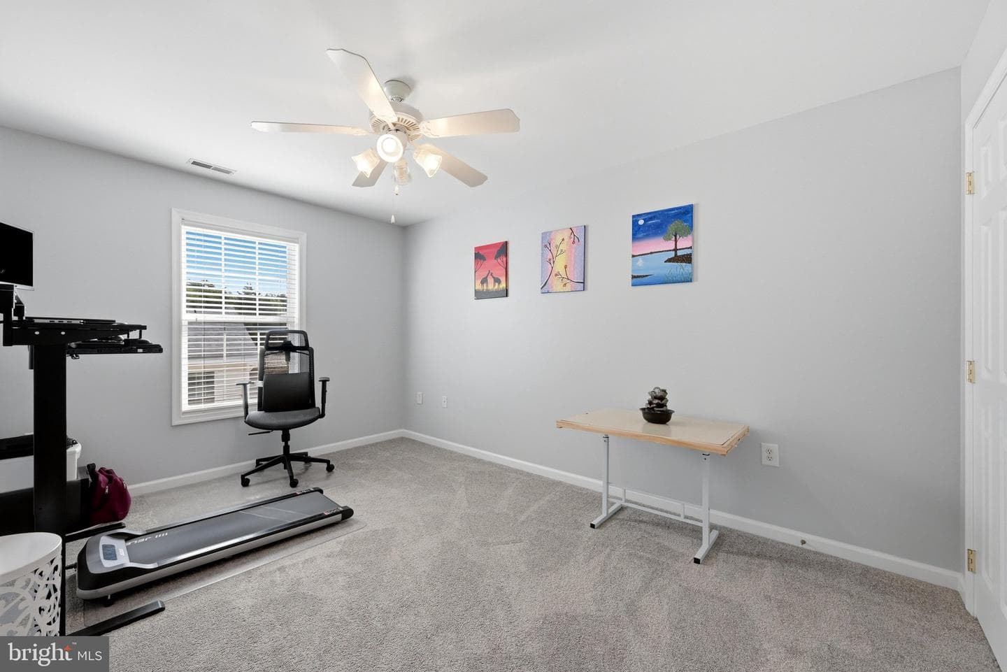 224 Shannon Court photo 38